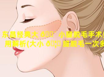 东昌经典大 🌴 小腿脱毛手术费用解析(大小 🦟 腿脱毛一次多长时间完成)